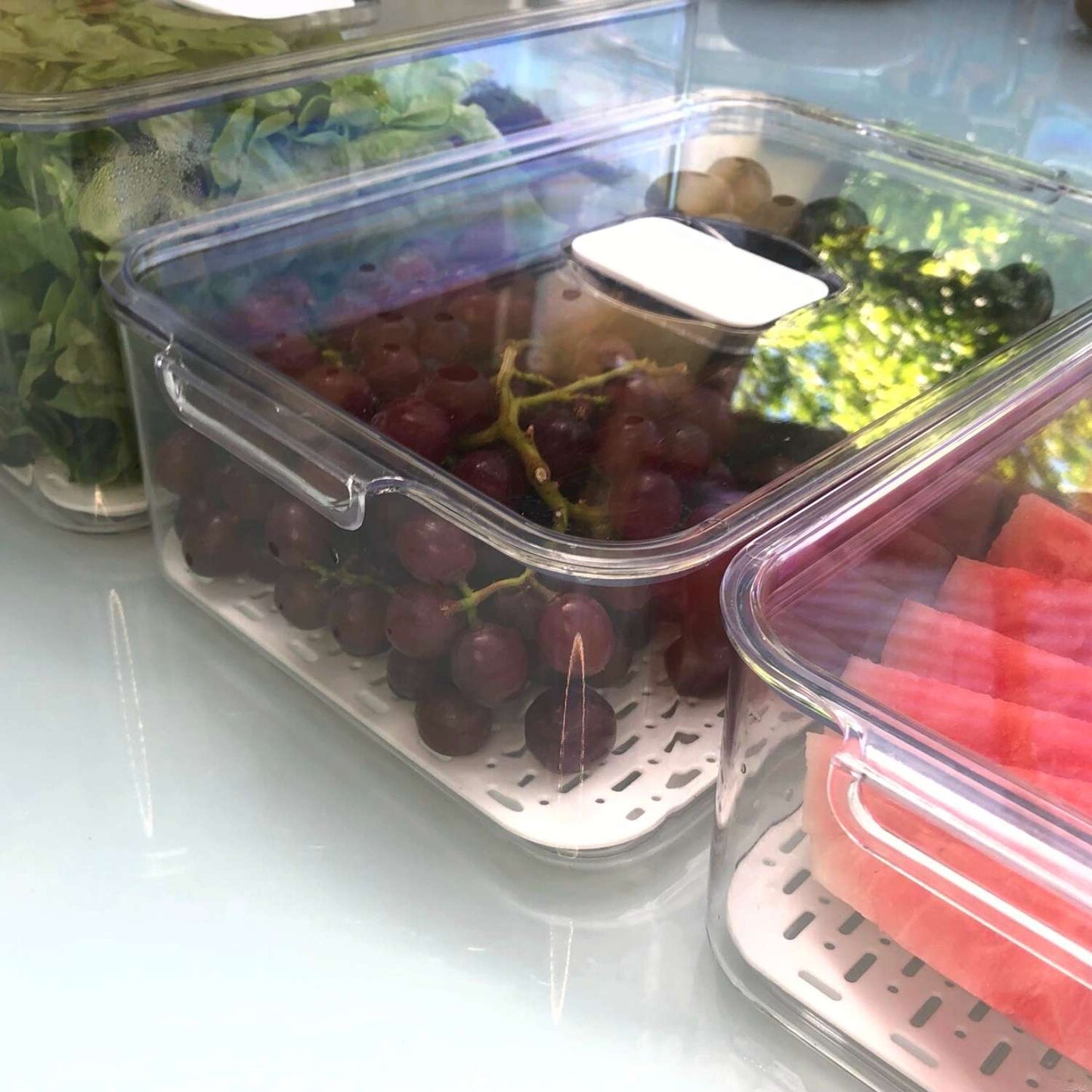 Extra Large Clear Fridge Storage Box with Drainer Board & Lid