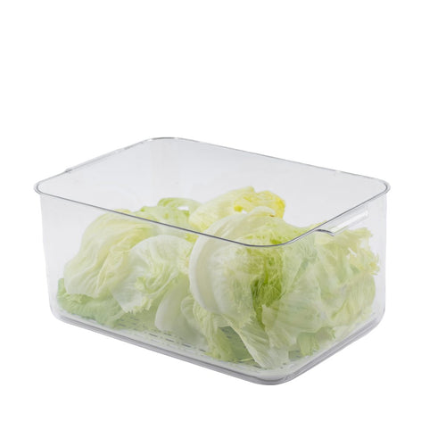 Extra Large Clear Fridge Storage Box with Drainer Board & Lid